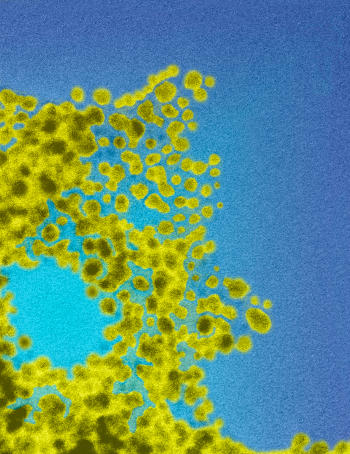 Conceptual image of nanoparticles capable of targeting specified cell-types and intracellular compartments for use in drug delivery.